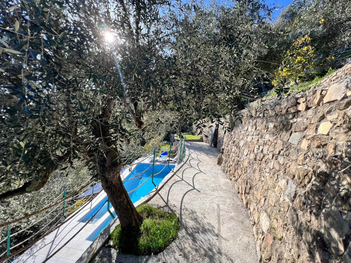 Villa Di Campagna Con Vista Mare 5 Camere Da Letto Pampara Zewnętrze zdjęcie